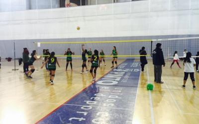 Voley alevín Pinto