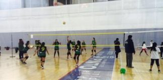 Voley alevín Pinto