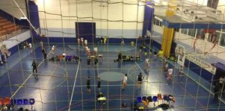 Pintobasket1_0
