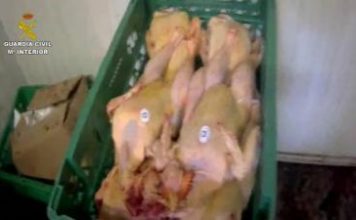 carne humanes