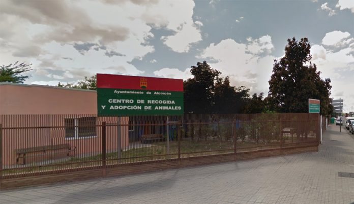 cipa alcorcon