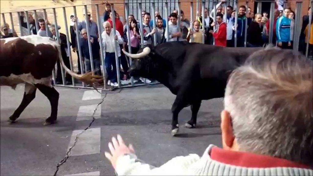 toros fuenlabrada