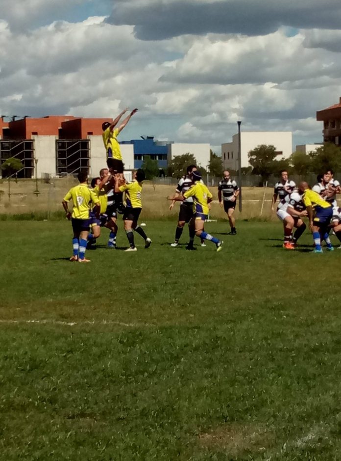 Rugby alcorcón