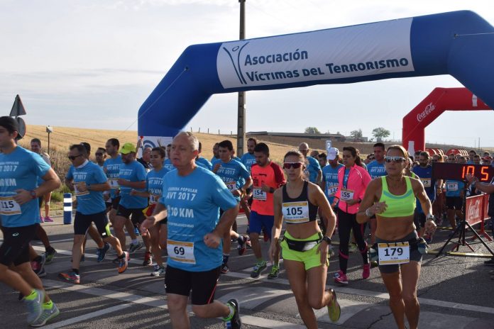 Carrera AVT