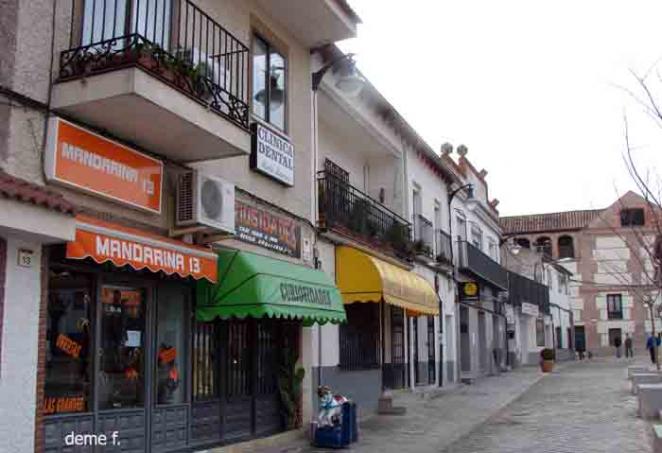 Griñón comercio