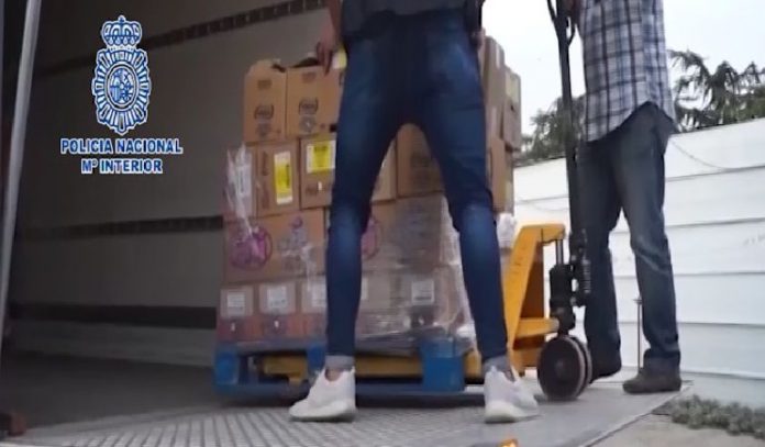 detenidos pinto