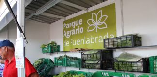 FERIA AGROECOLOGICA fuenlabrada