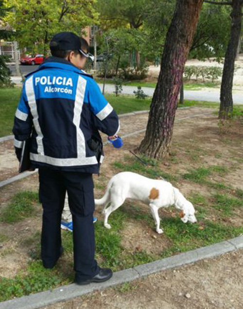 perros potencialmente peligrosos campaña alcorcon