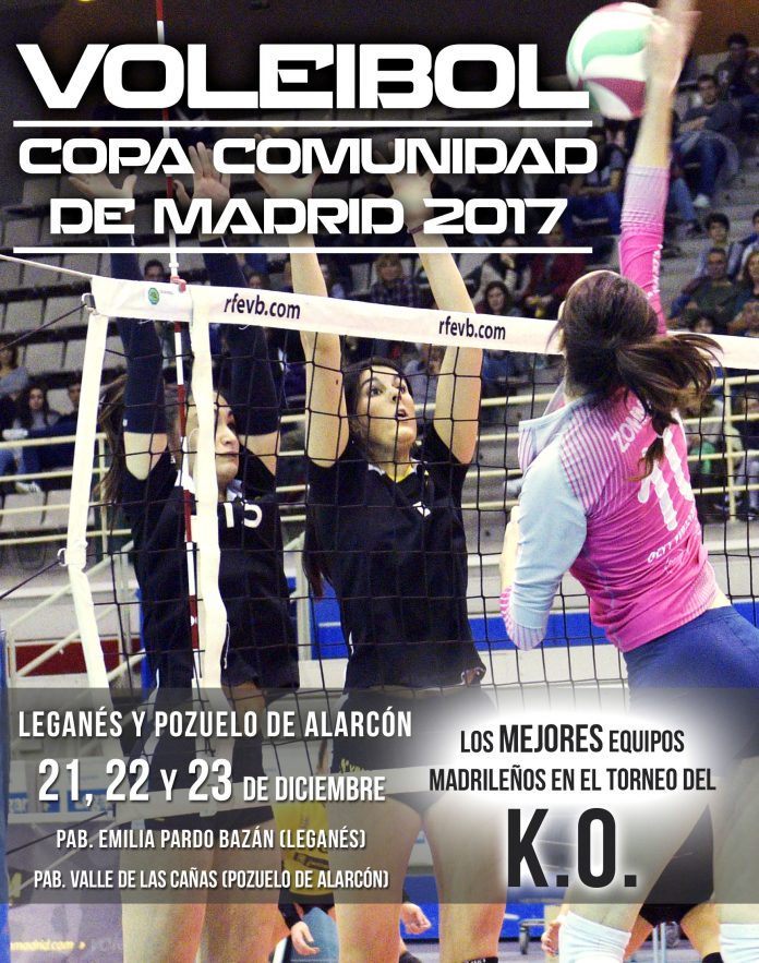 Copa Comunidad voleibol