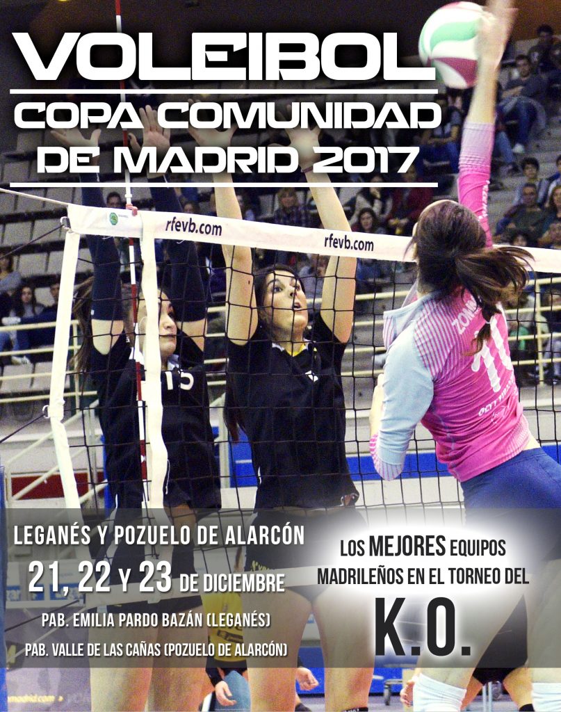 Copa Comunidad voleibol
