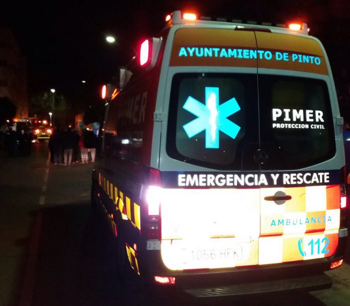 pimer pinto