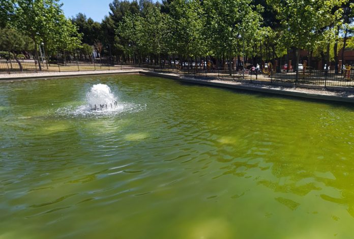 humedales