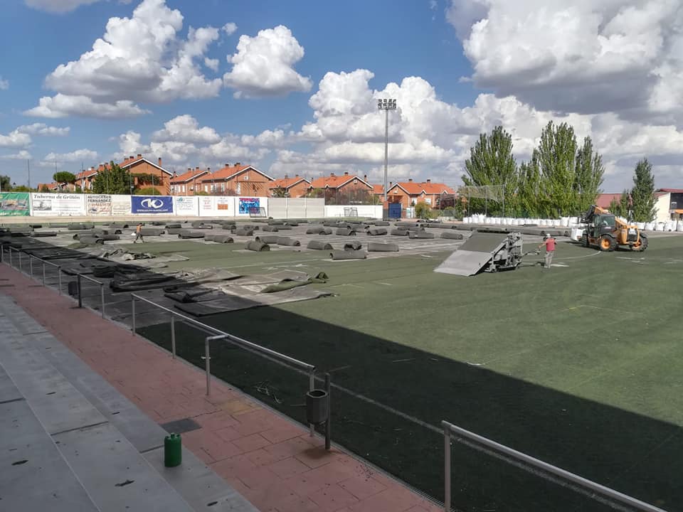 griñon cesped campo la mina