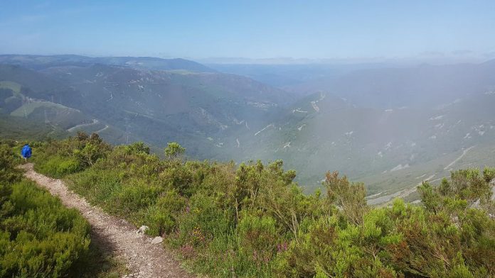 camino de santiago