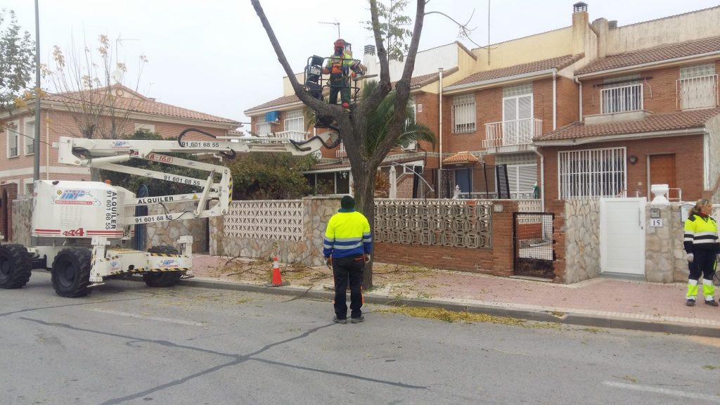 PODA MORALEJA DE ENMEDIO
